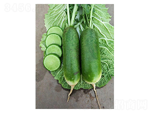 ����Ƥ�}��-�}���N��-(li��n)��(chu��ng)