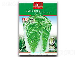 ����A90-�ײ˷N��-����