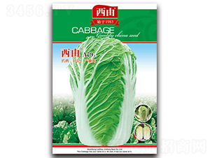 ����A79-�ײ˷N��-����