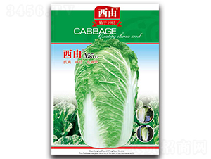 ����A55-�ײ˷N��-����