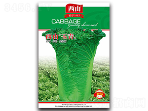 ��������-�ײ˷N��-����