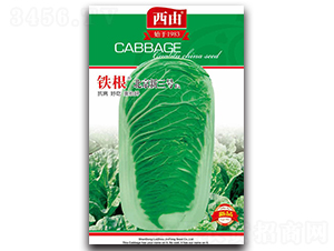 ��������̖-�ײ˷N��-����