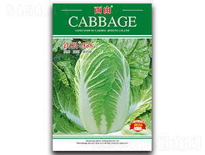 �F��958-�ײ˷N��-����