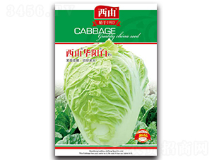 �����Aꖰ�-�ײ˷N��-����