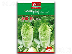 �F��45��ײ�-�ײ˷N��-����