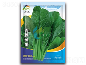 �๣�I(l��ng)��-�๣С�ײ˷N��-Ľ�m��