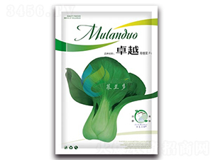 ׿Խ-�๣С�Ͳ˷N��-Ľ�m��