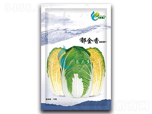 ������-���޲˷N��-Ľ�m��