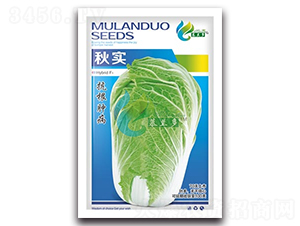 �-�ײ˷N��-Ľ�m��