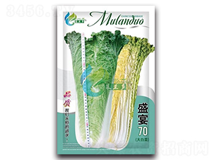 ʢ��70-�ײ˷N��-Ľ�m��