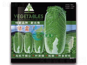 �G����-�ײ˷N��-Ľ�m��