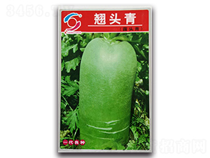 �N�^��-ˮ���}���N��-�����o