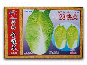 28���-�ײ˷N��-�����o(j��)