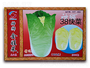 38���-�ײ˷N��-�����o(j��)