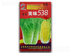 ��ζ538-�ײ˷N��-�����o(j��)