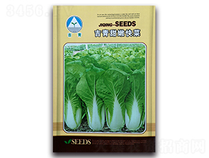 �������ۿ��-�ײ˷N��-�����o(j��)