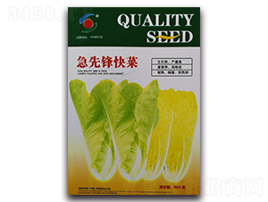 �����h���-�ײ˷N��-�����o(j��)