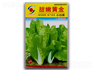 �����S��-�ײ˷N��-�����o(j��)