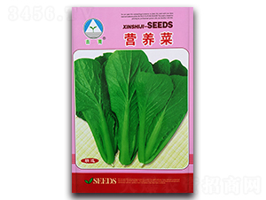 �I(y��ng)�B(y��ng)��-�ײ˷N��-�����o(j��)