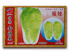 ����-���޲˷N��-�����o(j��)