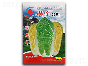 �S������-���޲˷N��-�����o(j��)