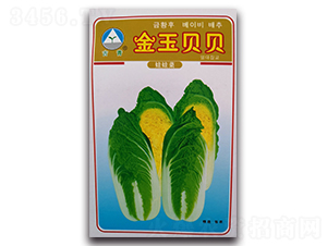 ����ؐؐ-���޲˷N��-�����o(j��)