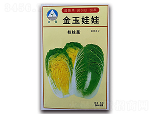 ��������-���޲˷N��-�����o(j��)