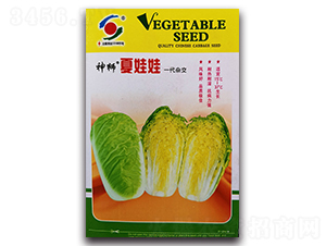 ��{������-���޲˷N��-�����o(j��)