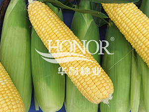 ����100-���׷N��-�A�ͷN�I(y��)