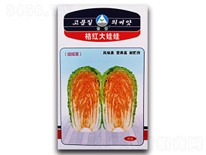 �ۼt������-��ײ˷N��-�����o(j��)