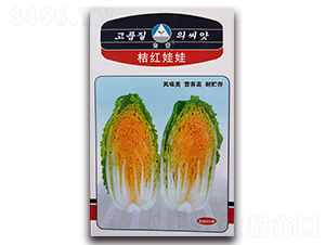 �ۼt����-��ײ˷N��-�����o(j��)