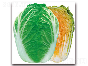 ��{�ۼt��-��ײ˷N��-�����o(j��)