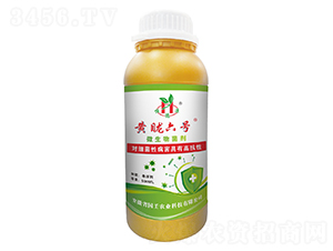 ΢�������-�S����̖(h��o)-��(gu��)������