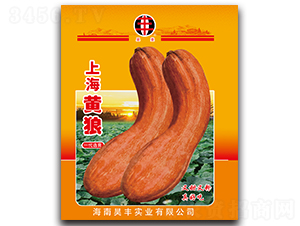 �Ϻ��S��-�ϹϷN��-���P��