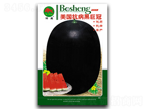 美國抗病黑巨冠-西瓜種子-搏盛種業(yè)