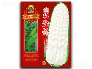 ������h-���׷N��-���P��