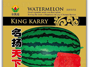 名揚(yáng)天下-西瓜種子-金凱瑞