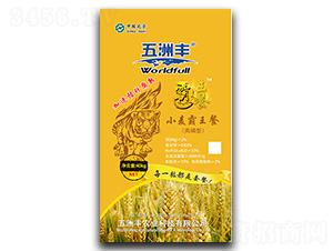 �����Ͷ�Ԫ����I�B(y��ng)��-���װ�����-�����S