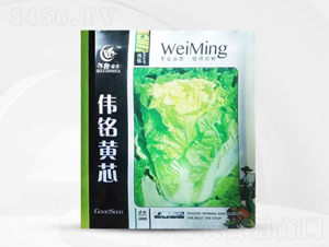 ����Sо-�ײ˷N��-��㑷N�I(y��)