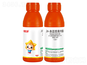 24-���|̦�؃�(n��i)��-�n��(y��u)��-�ź�֮��