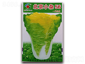 ����С�s56-�ײ˷N��-�����o(j��)