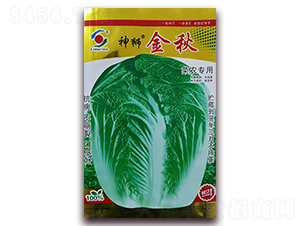 ��{����-�ײ˷N��-�����o(j��)