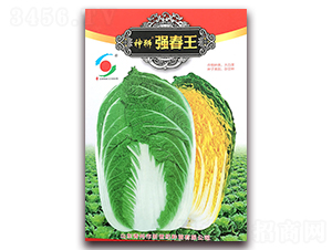 ��{������-�ײ˷N��-�����o(j��)