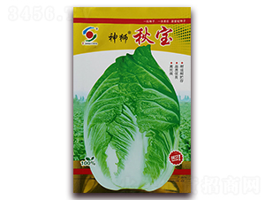 ��{�-�ײ˷N��-�����o(j��)