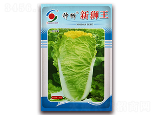 ��{�ª{��-�ײ˷N��-�����o(j��)