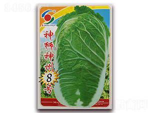 ��{����8̖-�ײ˷N��-�����o(j��)