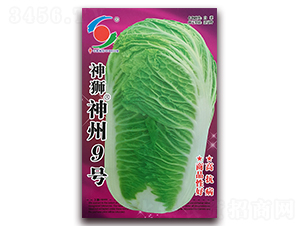 ��{����9̖-�ײ˷N��-�����o(j��)