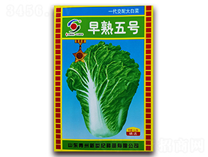 ������̖-�ײ˷N��-�����o(j��)