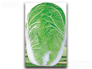 ��������-�ײ˷N��-�����o(j��)