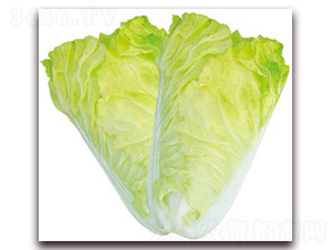 ����30-�ײ˷N��-�����o(j��)